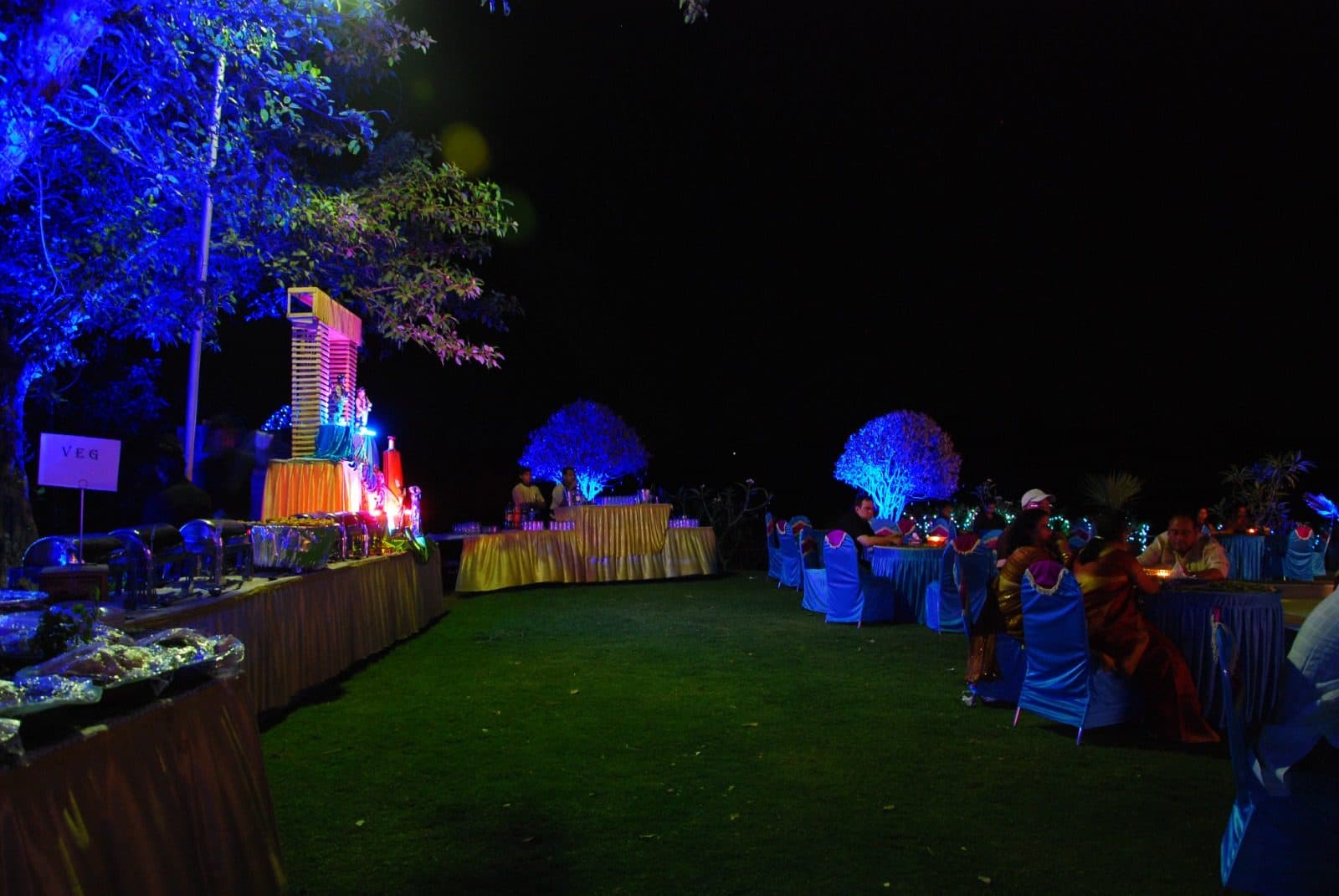 Dining — Lawn Dinner Blue Uplit Trees Veg Counter