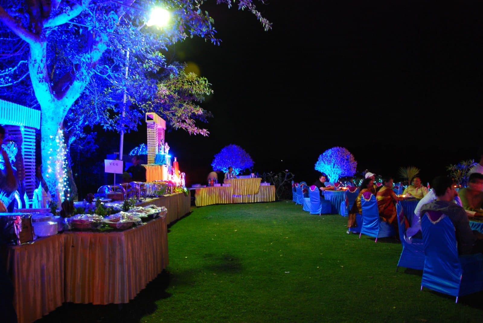 Dining — Outdoor Buffet Lawn Blue Lit Trees