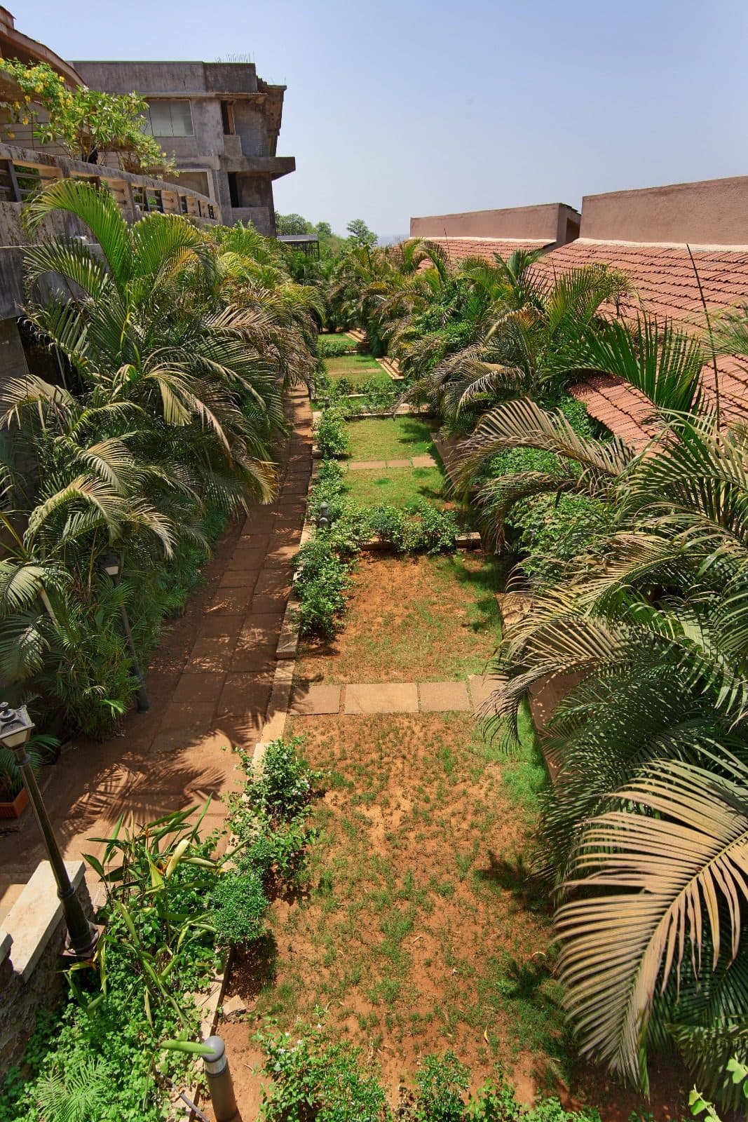 Resort Grounds — Cottage Rooftop Garden Aerial Palm View