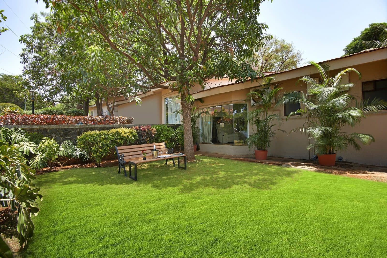 Resort Grounds — Garden Lawn Bench Mango Tree Shade