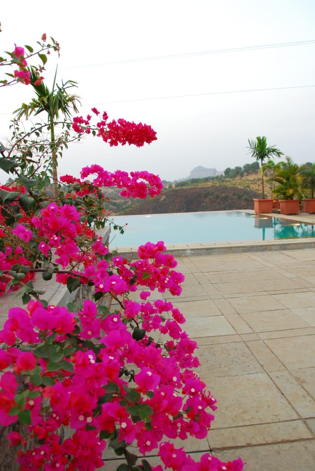 Infinity Pool — Infinity Pool Valley View Magenta Bougainvillea