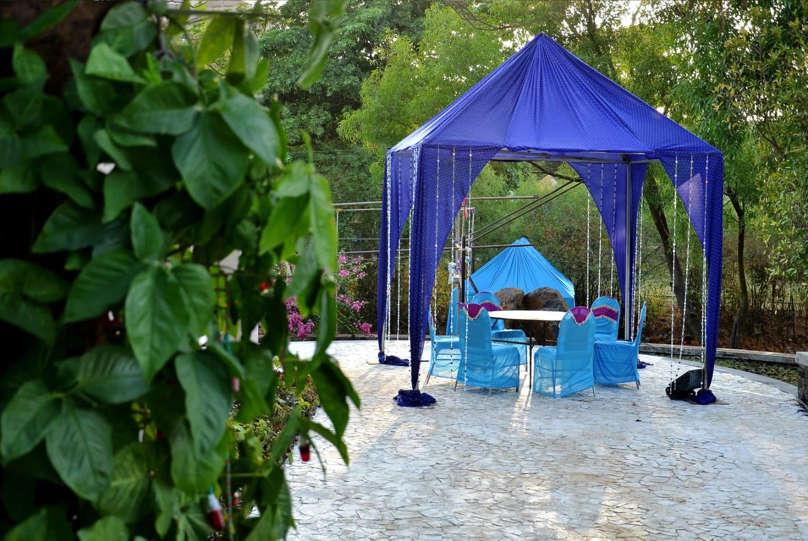 Weddings & Events — Blue Canopy Garden Mandap Seating