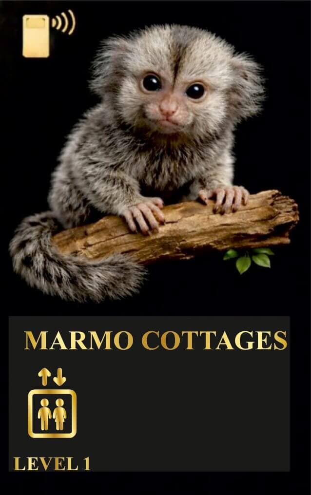Marmo Cottage Room (Level 1)